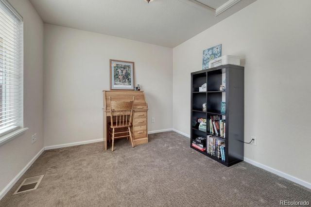 3793 Cadence Drive, Castle Rock, CO 80109