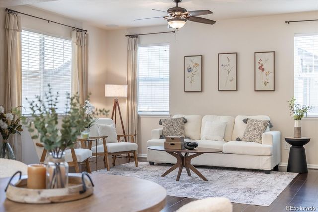 3793 Cadence Drive, Castle Rock, CO 80109