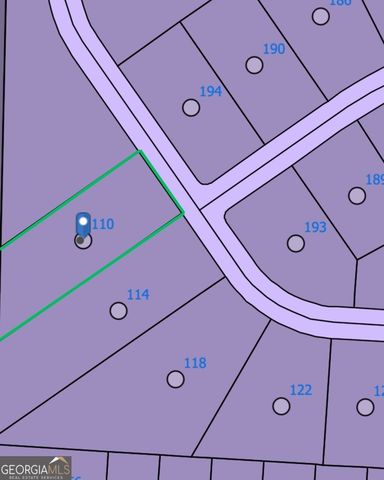 110 Spyglass Circle, Mcdonough, GA 30253