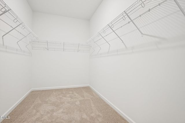 241 S Harvest Rdg Way, Clayton, NC 27520