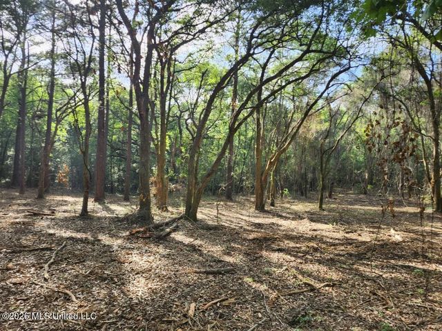 Parcel 2 Shiyou Road, Pass Christian, MS 39571