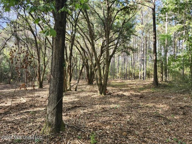 Parcel 2 Shiyou Road, Pass Christian, MS 39571