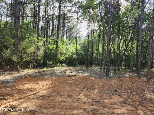 Parcel 2 Shiyou Road, Pass Christian, MS 39571