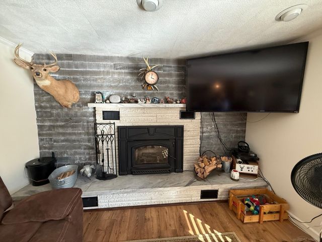 1540 W Sanilac Road, Indianfields Twp, MI 48723