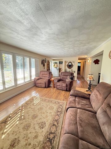 1540 W Sanilac Road, Indianfields Twp, MI 48723