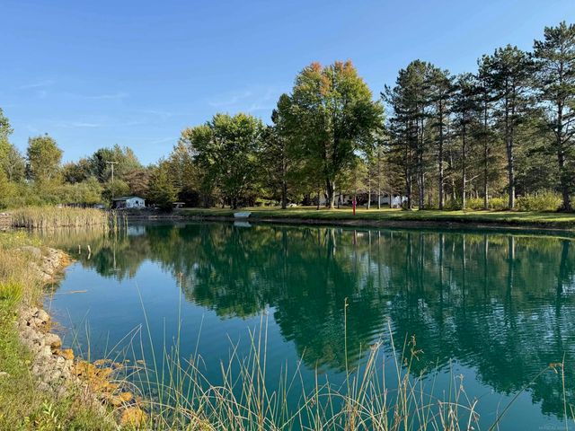 1540 W Sanilac Road, Indianfields Twp, MI 48723