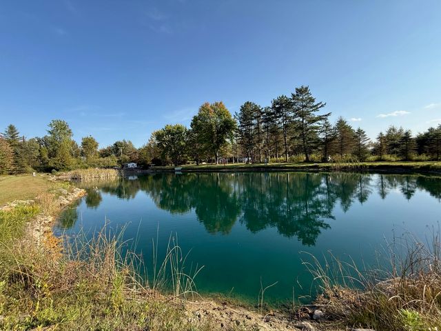 1540 W Sanilac Road, Indianfields Twp, MI 48723