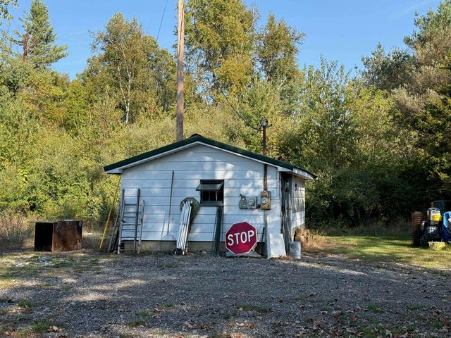 1540 W Sanilac Road, Indianfields Twp, MI 48723