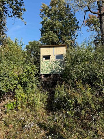 1540 W Sanilac Road, Indianfields Twp, MI 48723