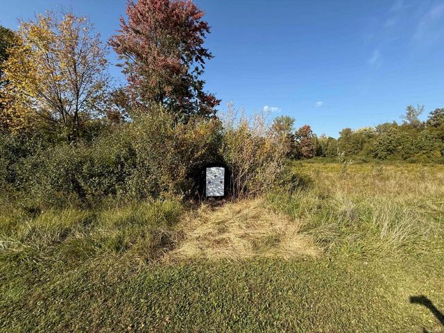 1540 W Sanilac Road, Indianfields Twp, MI 48723