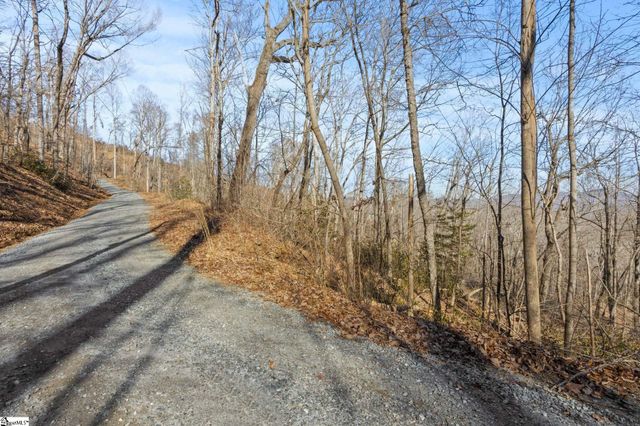 0 Dogwood Drive, Lake Lure, NC 28746