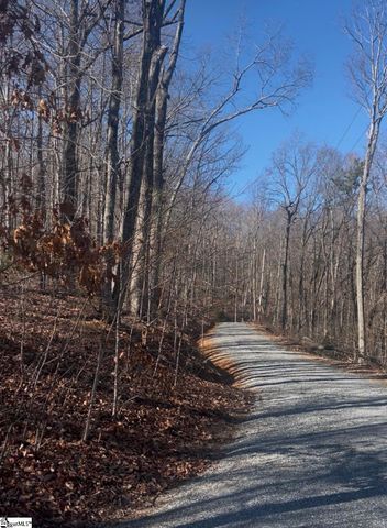 0 Dogwood Drive, Lake Lure, NC 28746