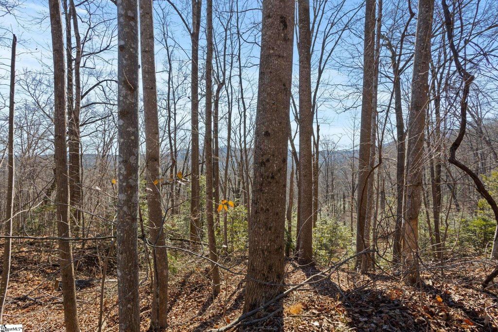 0 Dogwood Drive, Lake Lure, NC 28746