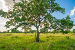 0000 Long View Ranch, Johnson City, TX 78636