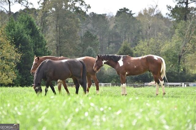 12530 Sibley Lane, Milton, GA 30075