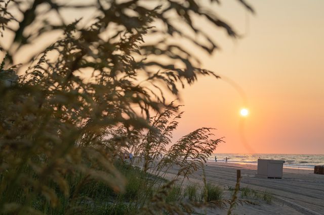 8560 Queensway Blvd Apt 2109, Myrtle Beach, SC 29572