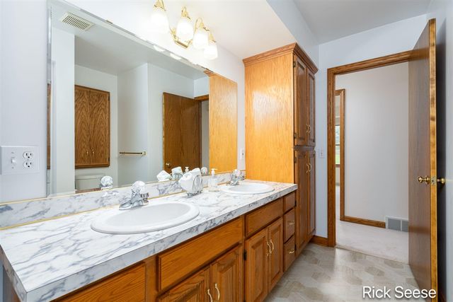 13535 Forest River Drive, Lowell, MI 49331