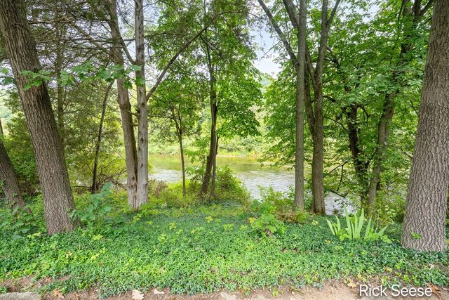 13535 Forest River Drive, Lowell, MI 49331