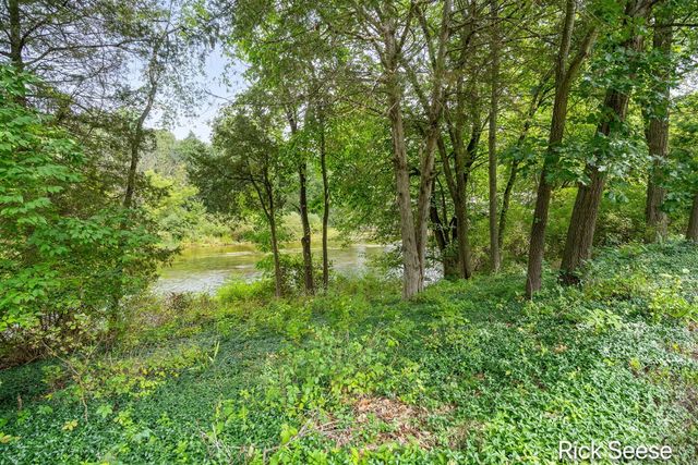 13535 Forest River Drive, Lowell, MI 49331