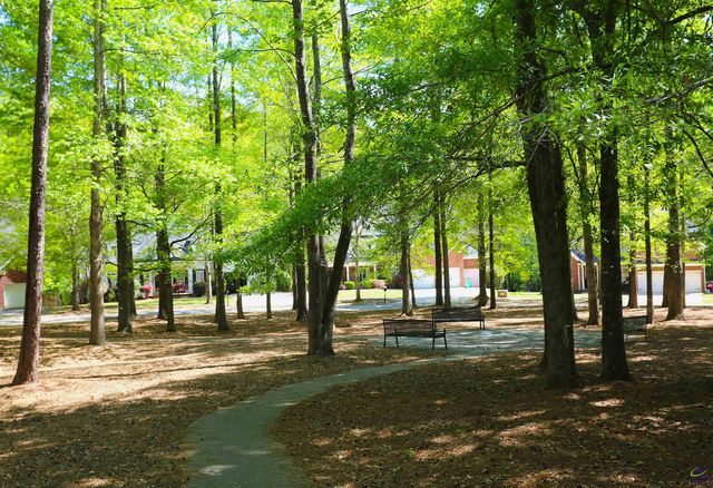 859 Tufthunter, Macon, GA 31210