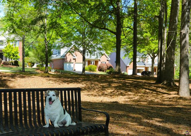 859 Tufthunter, Macon, GA 31210