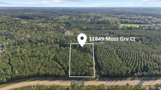 11849 Moss Grove Court, Willis, TX 77378