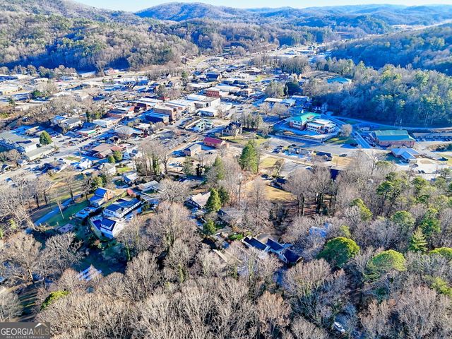 98 Pickett Hill Street, Clayton, GA 30525