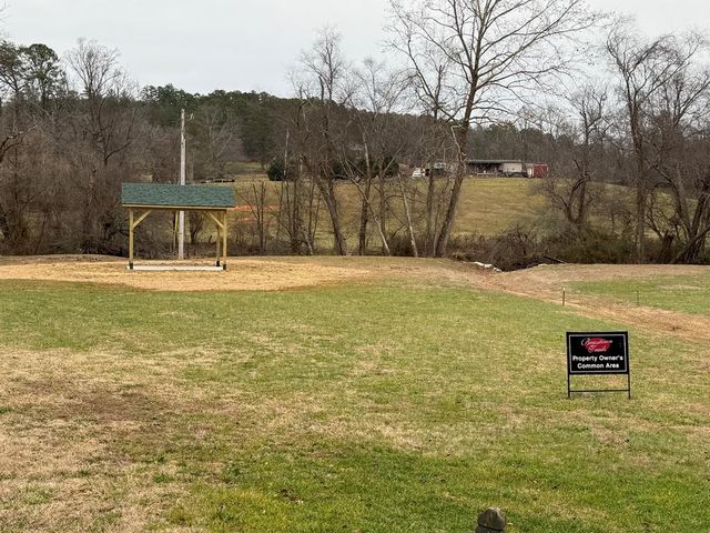 Lot 55 Brasstown Trails, Warne, NC 28909