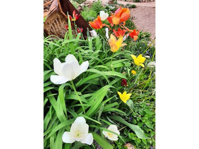 9795 Morrison Rd, Lakewood, CO 80227