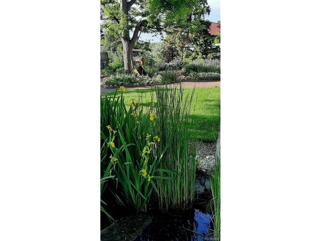 9795 Morrison Rd, Lakewood, CO 80227