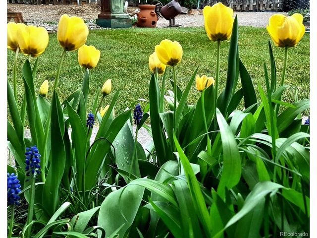 9795 Morrison Rd, Lakewood, CO 80227