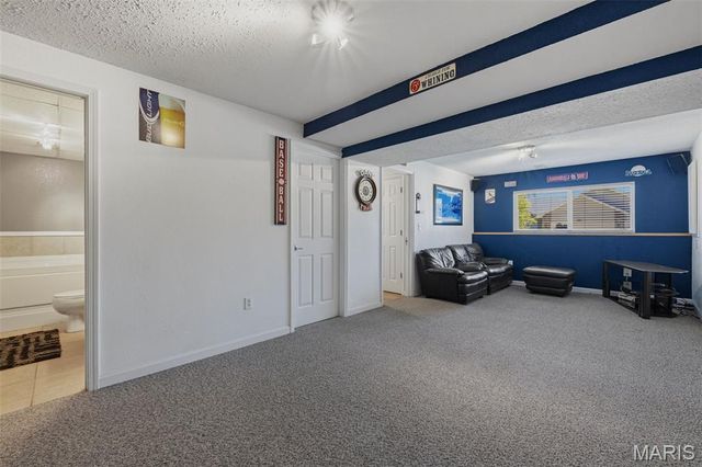 1955 Anchorage Drive, Festus, MO 63028