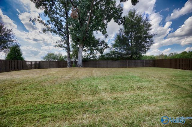 18230 Red Tail Street, Athens, AL 35613