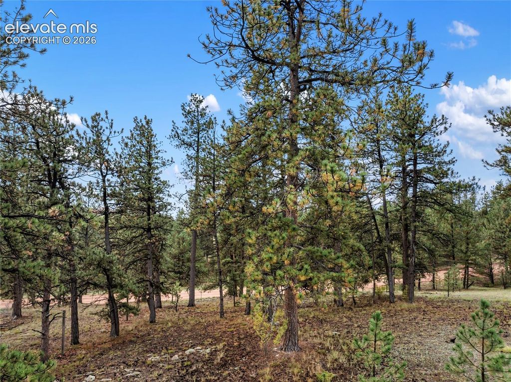 1583 County Road 12, Florissant, CO 80816 — photo 4