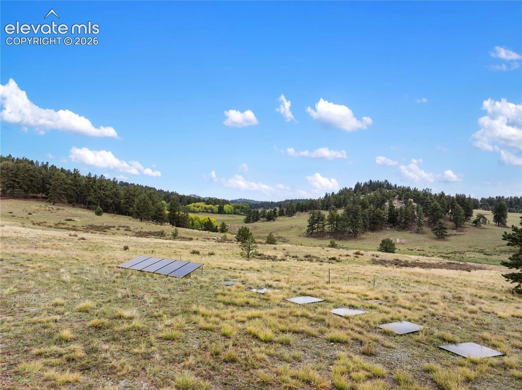 1583 County Road 12, Florissant, CO 80816 — photo 5