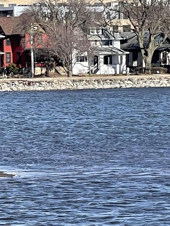 135 S BRITTINGHAM Place, Madison, WI 53715