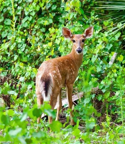 3650 1st AVE SW, Naples, FL 34117