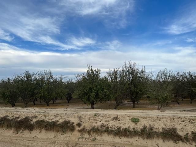 1105 E Rose Avenue, Fresno, CA 93725