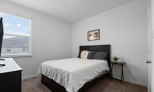 1736 Da Vinci Drive, Little Elm, TX 75068
