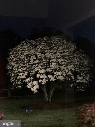 6196 WASHINGTON LN, Bensalem, PA 19020