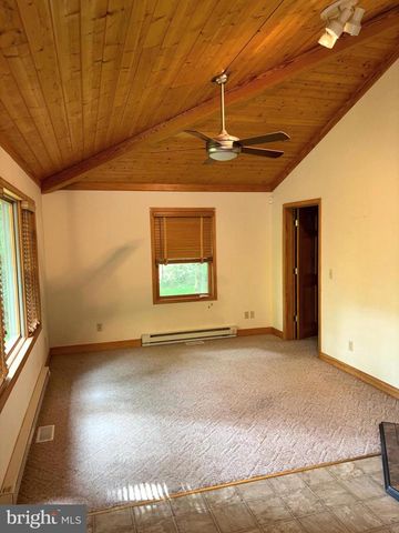 251 RIFFEY MOUNTAIN LN, Mathias, WV 26812