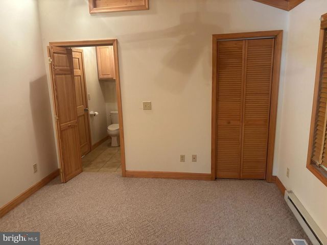 251 RIFFEY MOUNTAIN LN, Mathias, WV 26812