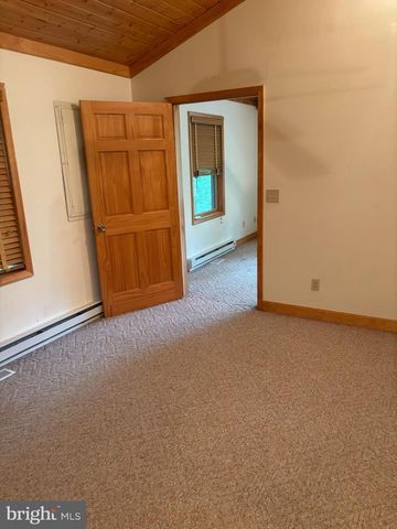251 RIFFEY MOUNTAIN LN, Mathias, WV 26812
