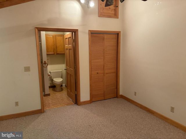 251 RIFFEY MOUNTAIN LN, Mathias, WV 26812