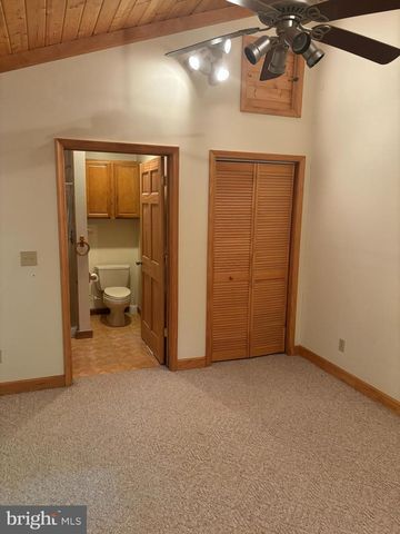 251 RIFFEY MOUNTAIN LN, Mathias, WV 26812