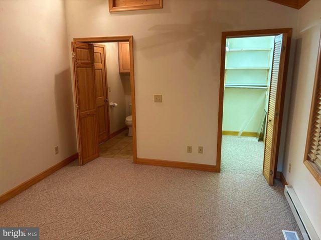 251 RIFFEY MOUNTAIN LN, Mathias, WV 26812
