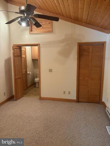 251 RIFFEY MOUNTAIN LN, Mathias, WV 26812