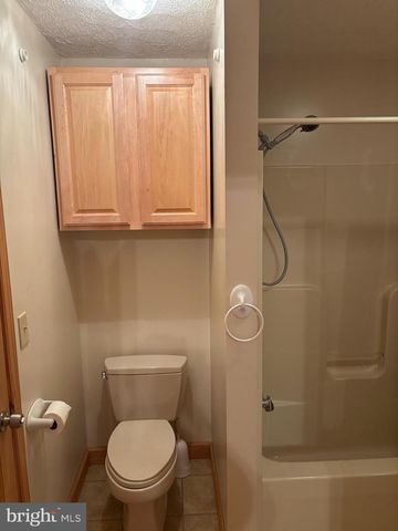 251 RIFFEY MOUNTAIN LN, Mathias, WV 26812