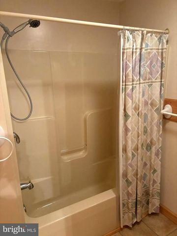 251 RIFFEY MOUNTAIN LN, Mathias, WV 26812