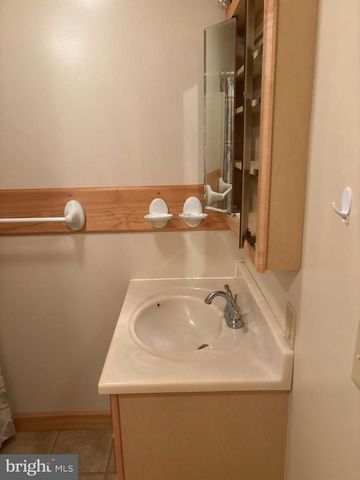 251 RIFFEY MOUNTAIN LN, Mathias, WV 26812